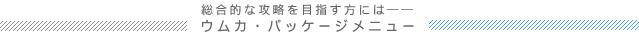 単品メニュー